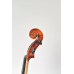 Violina 4/4 student set